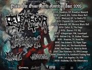 NARCOTIC WASTELAND Announces 