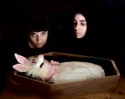 MELLOWDEATH Interview