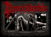Experience Raw Metal Intensity w/ IMPERISHABLE's (ft. Nile, Hate Eternal, Malevolent Creation members) Debut Album “Revelation In Purity”