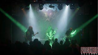 Live Videos