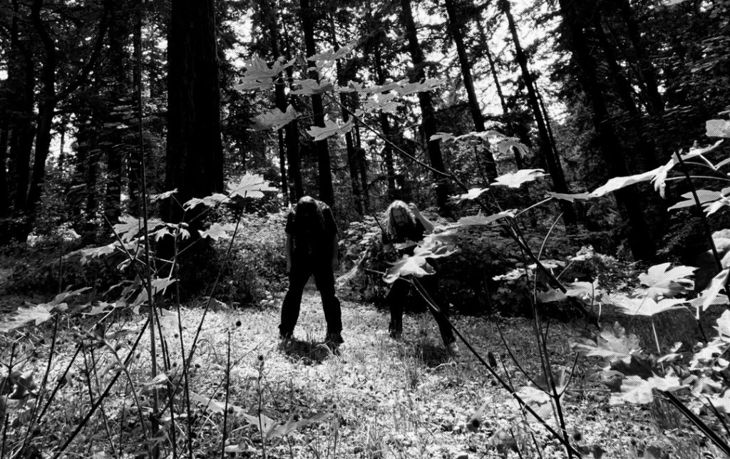DUNGEON SERPENT – Lamentations Of The Shadowkingdoms Expands Instrumentation Across Six Tracks